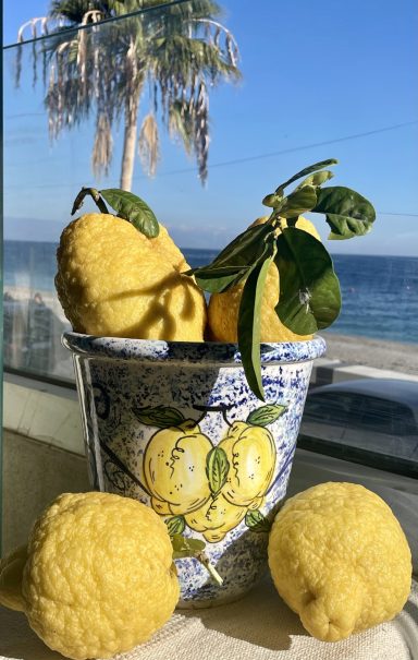 Übertopf Zitrone - hoch