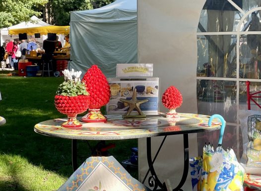 Pigne rot Limone mit Übertopf mittel