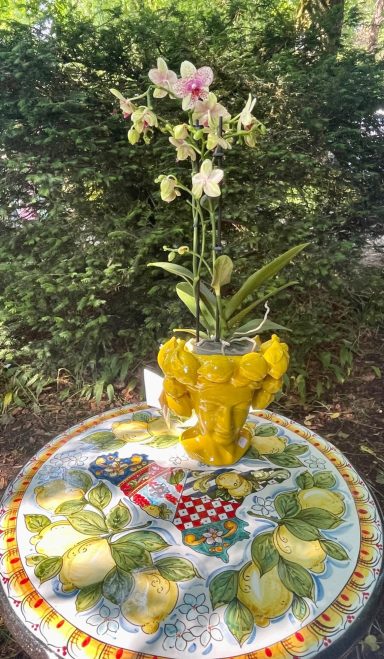 Übertopf Zitrone - Kopf - EDG Übertopf Zitrone - Kopf - EDG