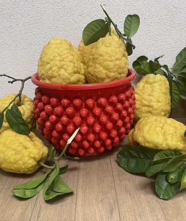 Übertopf Pigna rot - groß